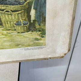 Brocante schoolplaat wijnbouw
