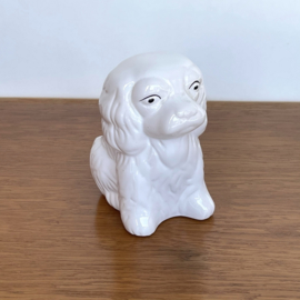 Bloempotje hond