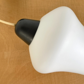 J30 hanglamp