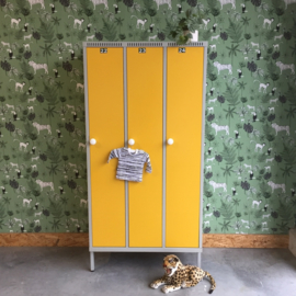 Vintage lockerkast