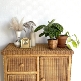 Rotan kast