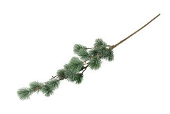 Kerst tak ceder kunst M