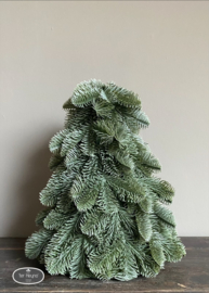 Kunst nobilis S Brynxz