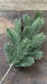 Kerst tak dennentak Pine needle spray