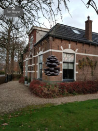Voeder dennenappel