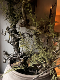 Asparagustak kunst 130cm