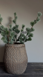 Kerst tak ceder kunst M