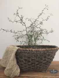 Shabby doek onbedrukt