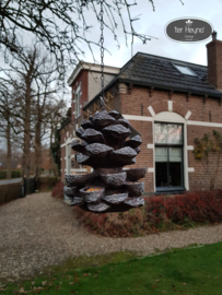 Voeder dennenappel