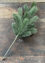 Kerst tak dennentak Pine needle spray