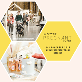 Blog | We are pregnant