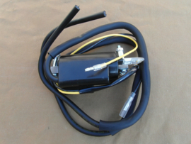 Bobine 6volt dubbele uitgang