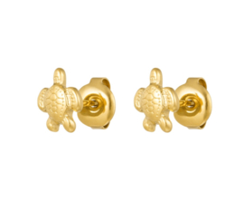 Earstuds turtle gold