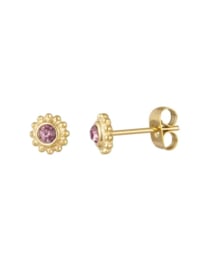 Earrings studs gold/purple