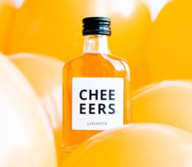 Flesje "cheers" oranjebitter likeur