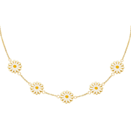 Ketting Daisy