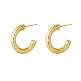 Oorbel Hoops Spring