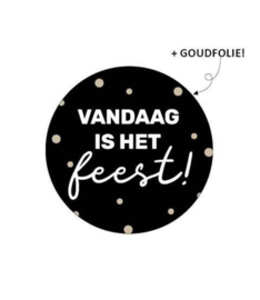 Stickers VANDAAG IS HET FEEST - 10 stuks