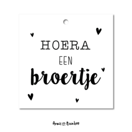 Cadeaulabel - Hoera een broertje