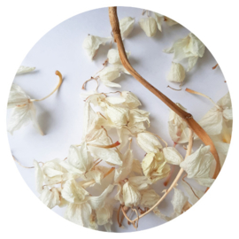 Barabrenda | Sticker droogbloemen 6 stuks