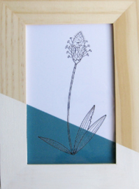 Barabrenda | Lijstje bloem blauw