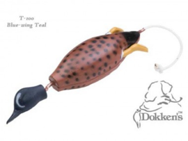 Dokken's Bluewing teal (taling)