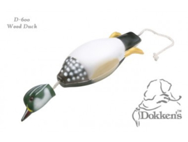 Dokken's Wood duck