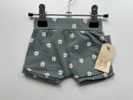 56 Shortje oudgroen