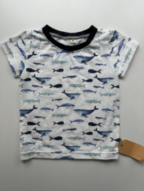 68 shirtje walvissen