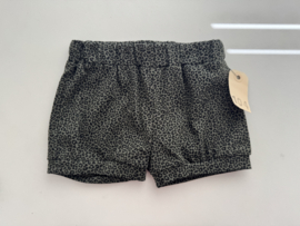104 Shortje panter army