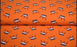 Koningsdagtricot