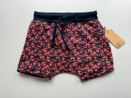 80 shortje palmbomen