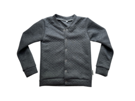 Vestje ‘Stepped Tricot Grijs’