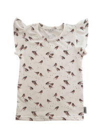 Shirt ‘Roodborstje’