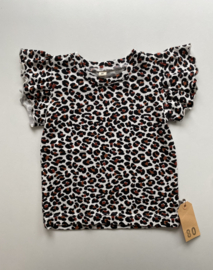 80 Shirt Panter Terra