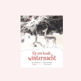 Op een koude winternacht