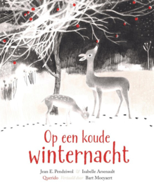 Op een koude winternacht