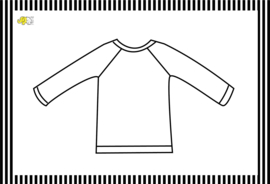 Raglan shirt/sweater