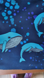 Walvissen blauw, tricot