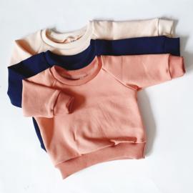 Raglan shirt/sweater
