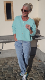 LIESJE cardigan turquoise