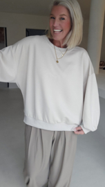 BASIC sweatshirt cold beige