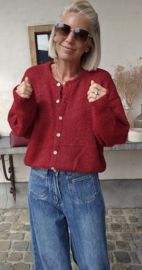 LIESJE cardigan burgundy