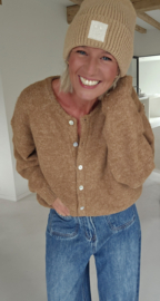 LIESJE cardigan camel