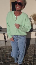 LIESJE cardigan anis
