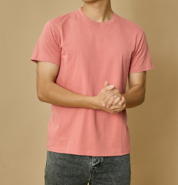 BASIC cotton tee salmon