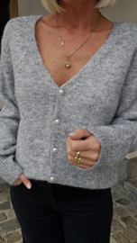 OLIVIA knit grey
