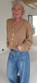 LIESJE cardigan camel