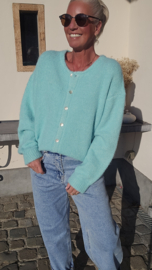 LIESJE cardigan turquoise