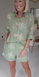MAUD set olive